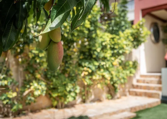 Comfortable 4-bedroom With Private Gardens * Costa Adeje (Tenerife)