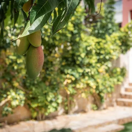 Comfortable 4-bedroom With Private Gardens * אדחה